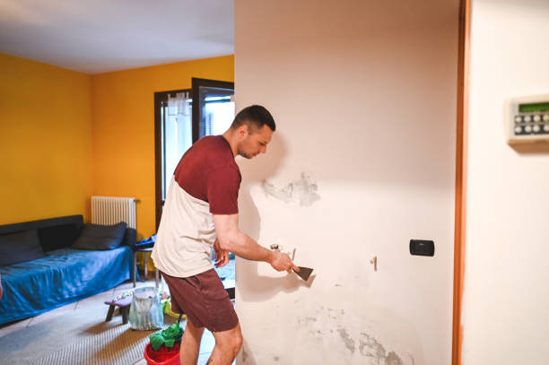Best Emergency Mold Remediation in Ovilla, TX